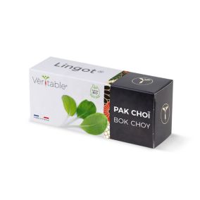 Lingot® pour potager d'intérieur Véritable® variété "Pak choï bio" plantation toute l'année