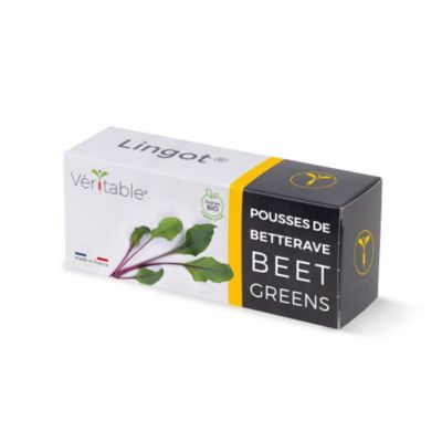 Lingot® pour potager d'intérieur Véritable® variété "Pousses de betterave bio" plantation toute l'année