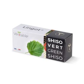 Lingot® pour potager d'intérieur Véritable® variété "Shiso vert" plantation toute l'année