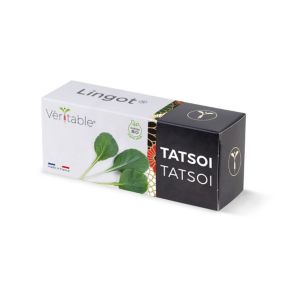 Lingot® pour potager d'intérieur Véritable® variété "Tatsoi bio" plantation toute l'année