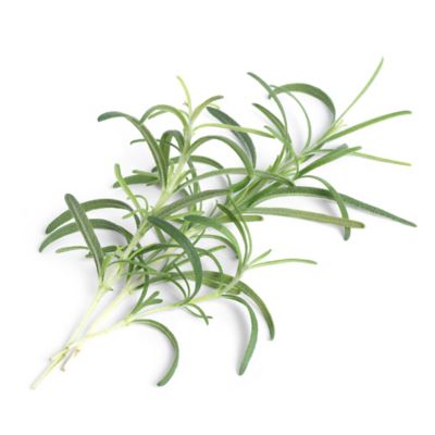 Lingot® Romarin pour potager Véritable®