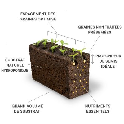 Lingot® Romarin pour potager Véritable®