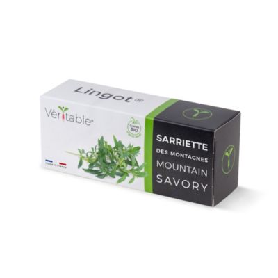 Lingot® Sarriette des montagnes pour potager Véritable®