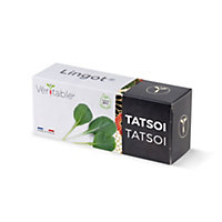 Lingot® Tatsoi Bio pour potager Véritable®