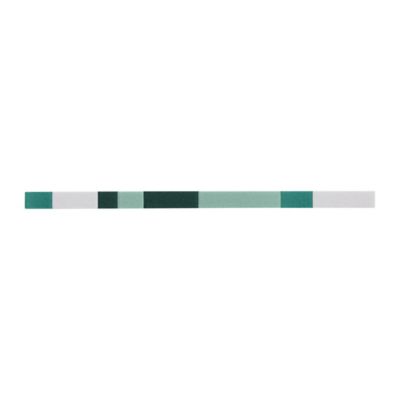 Listel Salerna vert 2 x 40 cm grés cérame émaillé