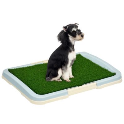 Litière gazon synthétique chien toilette portable à pelouse tiroir à déjection dim. 63L x 48l x 6H cm