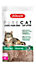 Litière végétale naturelle pour chat Purecat 30L