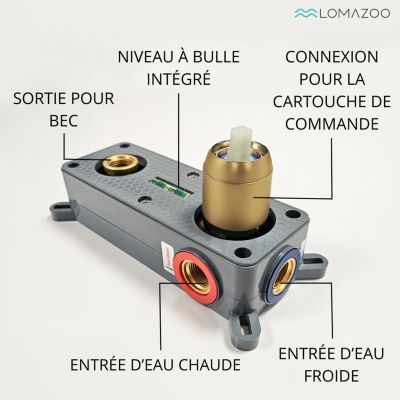 LOMAZOO Robinet Mitigeur De Lavabo Mural Encastré - Or Doré - Velar