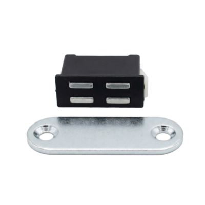 Loqueteau clipsable 2 kg noir Diall vendu par 2