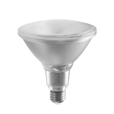 Ampoules halogènes pour projecteurs PAR38 de GE, 80 W équivalent à