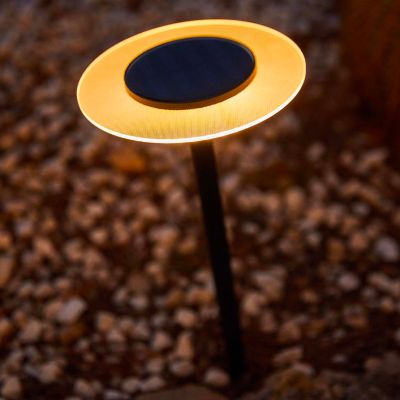 Lot 2 balises solaires LED blanc chaud IP44 8lm L.16 x l.16 x H.35 cm acier noir