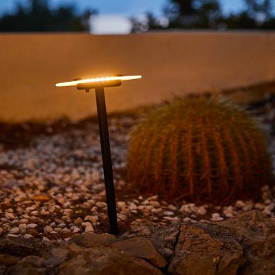 Lot 2 balises solaires LED blanc chaud IP44 8lm L.16 x l.16 x H.35 cm acier noir