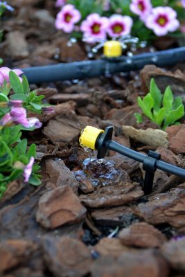 Lot De 10 Piquets Goutteurs 30° - Débit 2L/h Pour Tuyau Micro-irrigation 5 Mm - Système Goutte à Goutte Jardin, Potager, Balcon