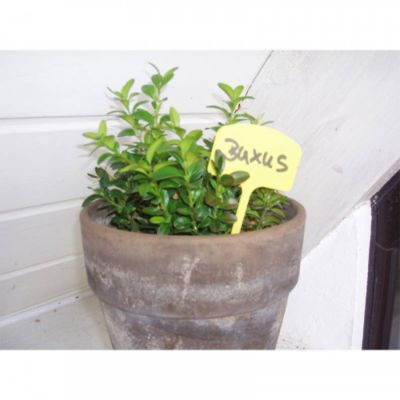 Lot de 10 étiquettes pour plantes en plastique
