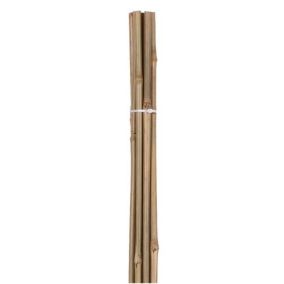 Lot de 10 tuteurs en bambou H90cm x D8/10 - 16566