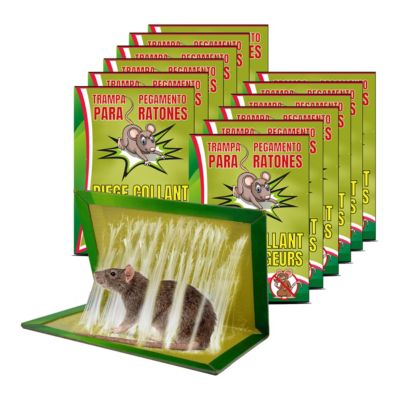 Lot de 12 Piège à souris collant anti rongeur, Attrape Souris Piège à colle Ultra Puissant plaque de glue