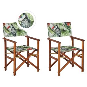 Lot de 2 chaises Bois Vert CINE