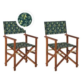 Lot de 2 chaises Bois Vert foncé CINE