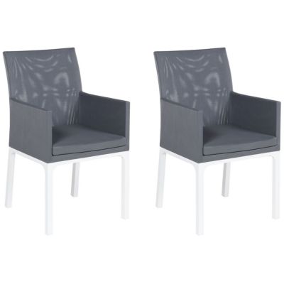 Lot de 2 chaises de jardin avec coussins BACOLI Tissu Gris foncé