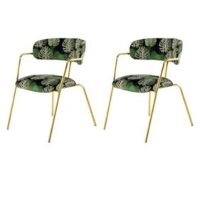 Lot de 2 Chaises Design "Forest III" 79cm Vert