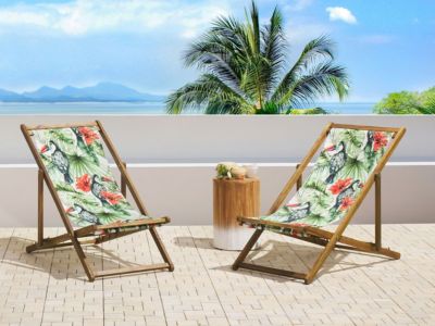 Lot de 2 chiliennes pliantes ANZIO avec tissus de remplacement Motif animal Acacia Marron clair