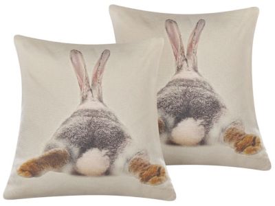 Lot de 2 coussins décoratifs BUXUS 45 x 45 cm Taupe