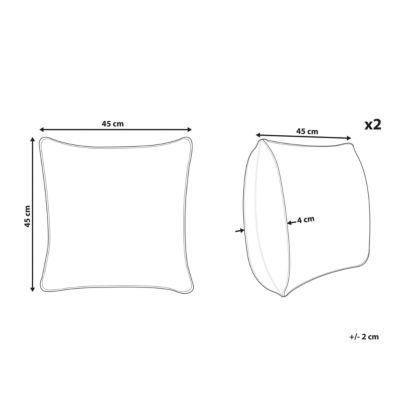Lot de 2 coussins décoratifs TRACHELIUM 45 x 45 cm Vert Motif de plante