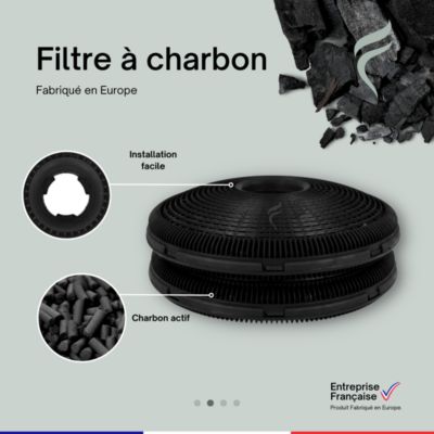 Lot de 2 Filtres à Charbon pour Hotte Brandt - 74X3895 - 192mm