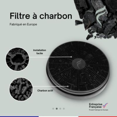 Lot de 2 Filtres à Charbon pour Hotte Candy - 49037930 - 175mm