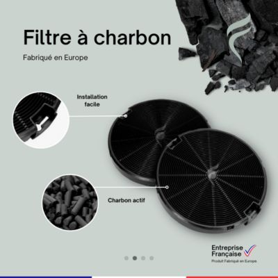 Lot de 2 Filtres à Charbon pour Hotte Electrolux - EFF75 - 153mm