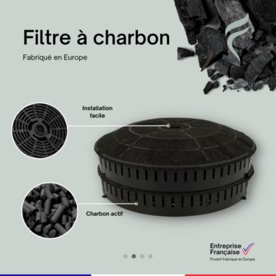 Lot de 2 Filtres à Charbon pour Hotte Smeg - KITFC500 - Diamètre : 17,2 cm