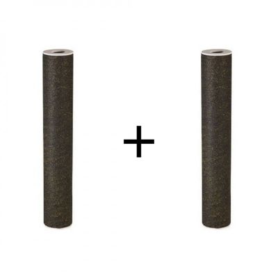 Lot de 2 filtres pour centrale PROTEO 2