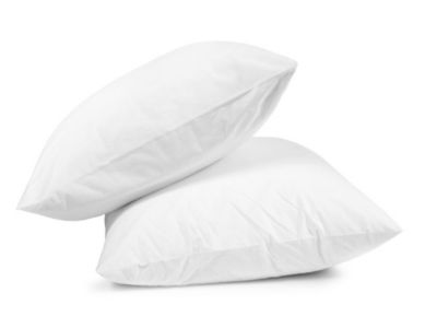 Lot De 2 Oreillers Ball Fiber Coton - 60x60 - 31093