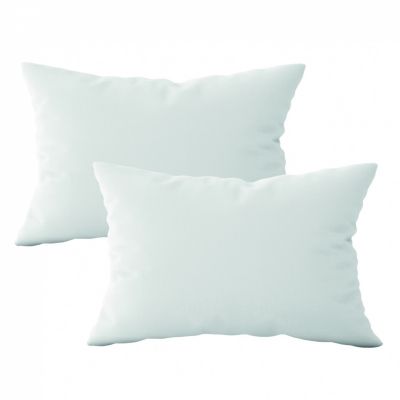 Lot de 2 oreillers, coussins de garnissage - 40 x 60 cm - Blanc - Vivezen