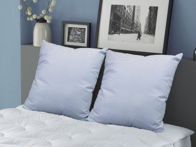 Lot de 2 oreillers DODO naturels fermes plumettes - 60x60 cm - MERIBEL