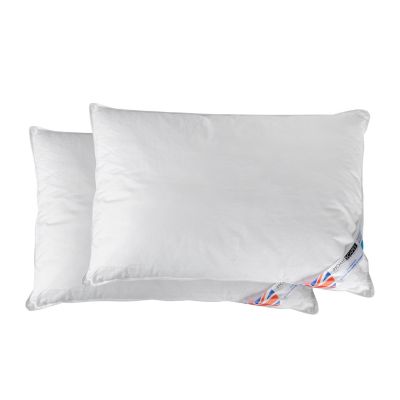 Lot de 2 oreillers en microfibre, 50 x 75 cm - HOMESCAPES