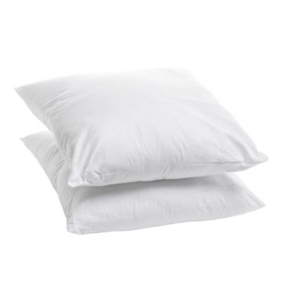Lot de 2 Oreillers Ferme 60x60cm COTON BIO