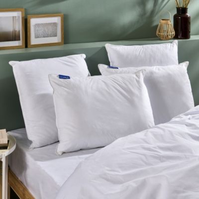 Lot De 2 Oreillers 1er Prix 60x60cm - Fabrication Française, Confortable Et Doux