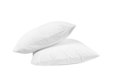 Lot de 2 oreillers Ferme coton percale anti acariens - 65 x 65 - 10117