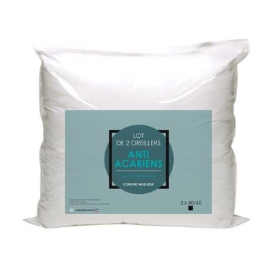 Lot de 2 oreillers Microfibre Anti-Acariens 60x60cm