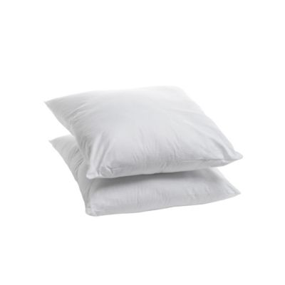 Lot de 2 Oreillers Moelleux 60x60cm Anti punaises DE LIT