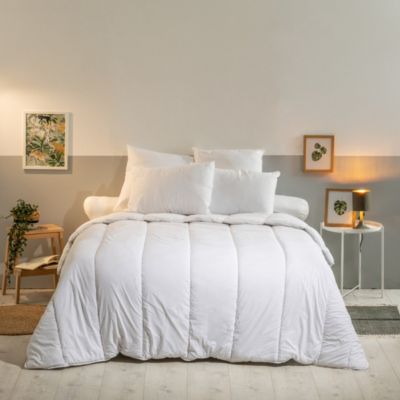Lot de 2 Oreillers Moelleux 60x60cm Anti punaises DE LIT