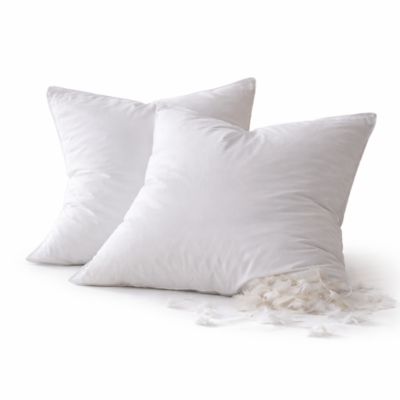Lot De 2 Oreillers Plumettes Percale De Coton - 60x60 - 476