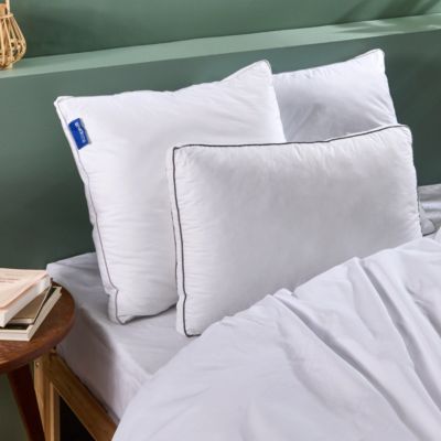 Lot de 2 oreillers Souple 50x70cm SENSATION DUVET PREMIUM Gonflant