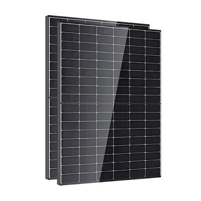 Lot de 2 Panneaux solaires 450Wc DMEGC Bifacial - Bi-verre