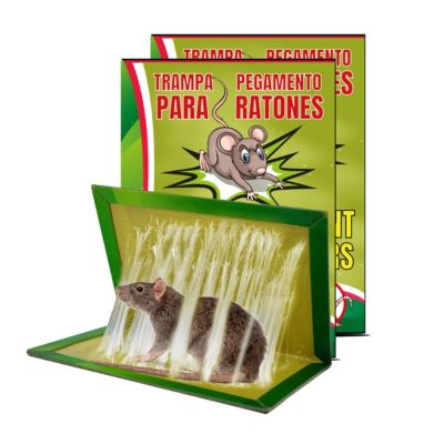 Lot de 2 Piège à souris collant anti rongeur, Attrape Souris Piège à colle Ultra Puissant plaque de glue