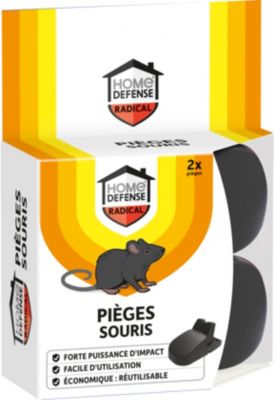 Lot de 2 pièges crocodile à souris Home Defense