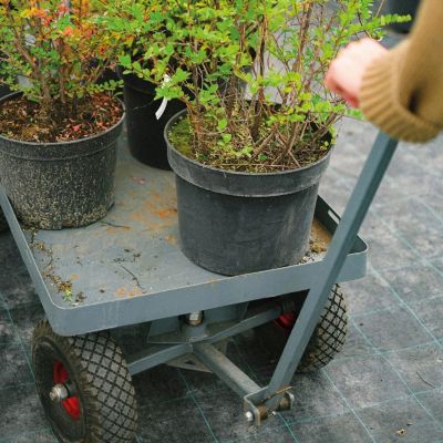 Lot de 2 roues gonflables pour chariot 26 x 8.5  cm - Axe 25 mm - Linxor