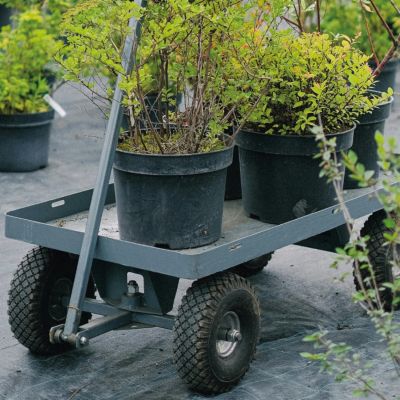 Lot de 2 roues increvables pour chariot 25 x 8 cm - Axe 16 mm  - Linxor