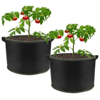 Lot de 2 sacs de culture en tissu haute capacité de 10 gallons 38 L avec poignées, pour légumes du jardin